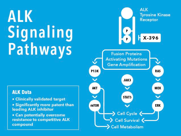 WX20190902-114618.png WX20190902-114618.png