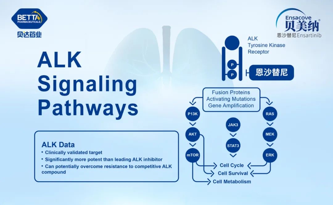 1605789582432813.jpeg 914BE3F6-B178-4E7C-926E-5ABC2CBC9919.jpeg