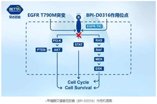 1614820434930906.png 2.png