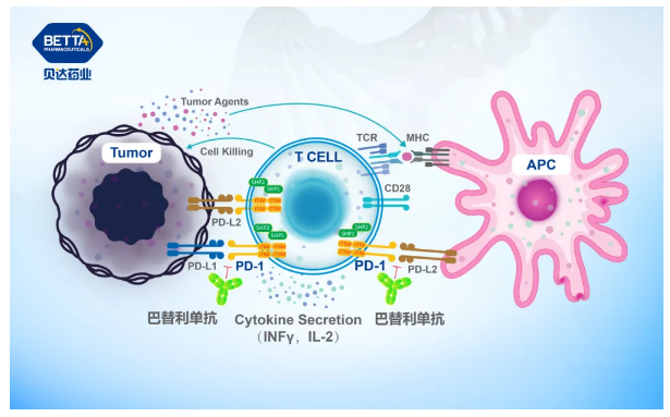 1622098951178883.png 2.png