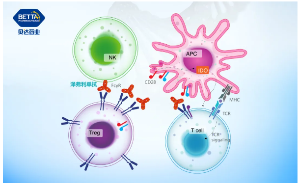 1622098964677793.png 3.png