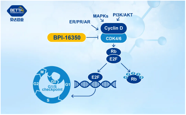 1623984684635192.png 3.png