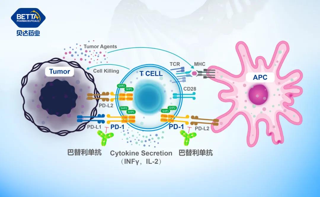 1626750071120028.jpg 微信圖片_20210720110101.jpg