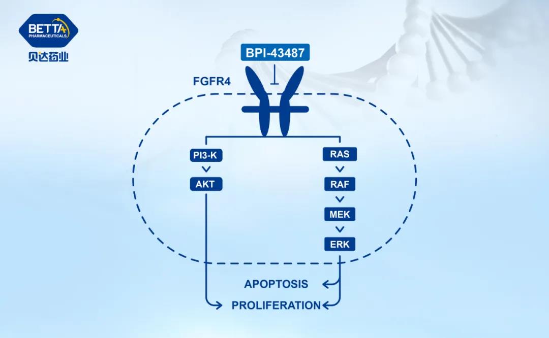 1630630188426272.jpg 微信圖片_20210903085002.jpg