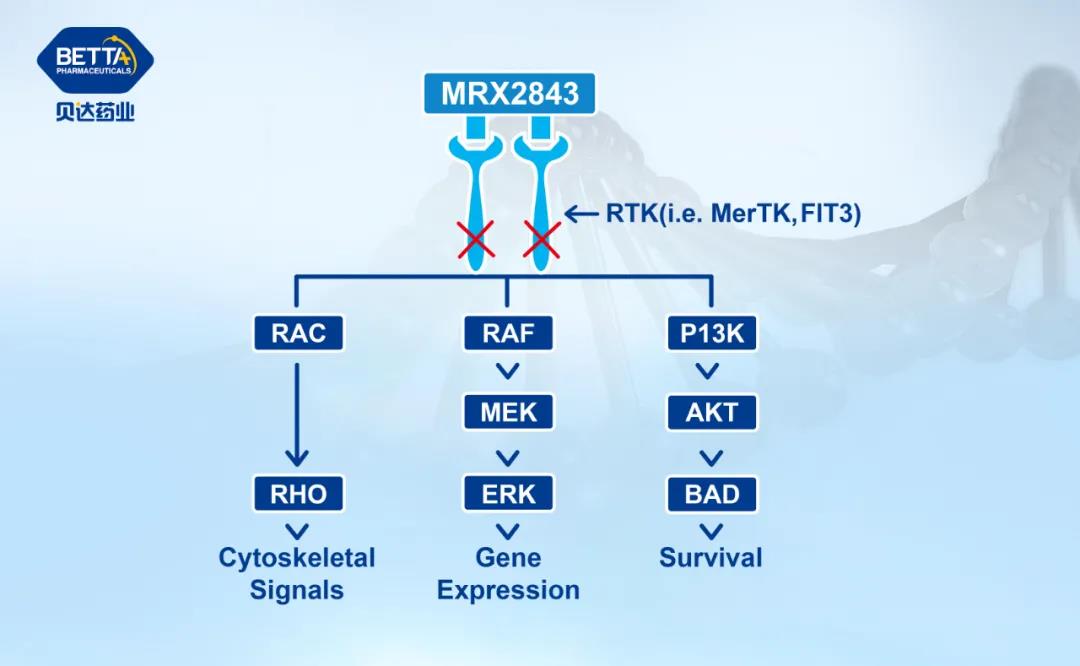 1635468701126332.jpg 微信圖片_20211029085059.jpg