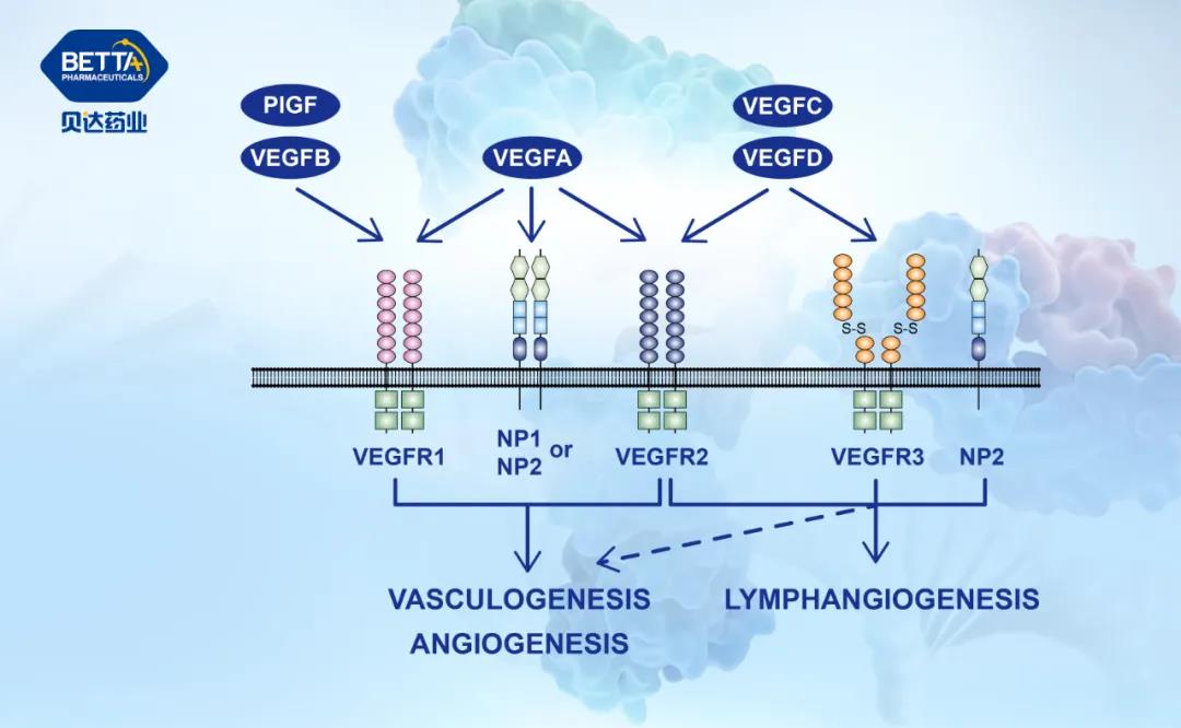 1640913419121530.jpg 微信圖片_20211231091700.jpg