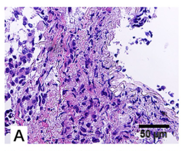 1657500289656277.png 微信圖片_20220711084144.png