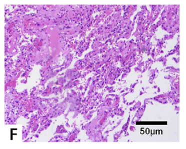 1657500293555841.png 微信圖片_20220711084150.png